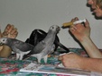 Enlarge photo 79