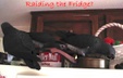 Enlarge photo 76