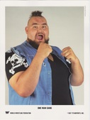 FOR SALE: WWF Unnumbered Promo Photos