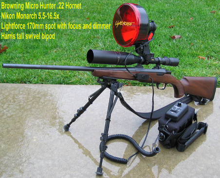 Firearms