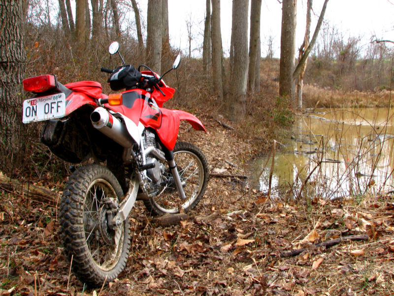 MEFO Explorer 1000 mi early report... Adventure Rider