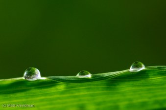 Enlarge photo 44