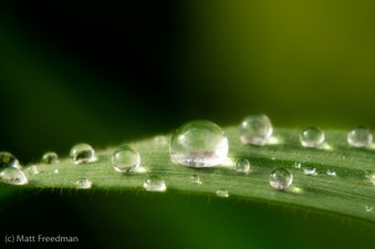 Enlarge photo 46