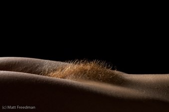 Enlarge photo 48