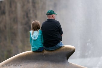 Enlarge photo 61