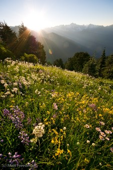 Enlarge photo 77