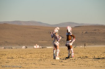 Enlarge photo 92