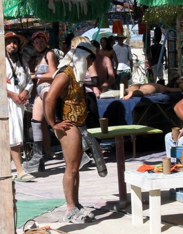 Enlarge photo 12