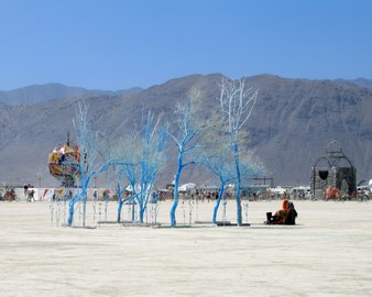 Enlarge photo 51