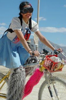 Enlarge photo 61