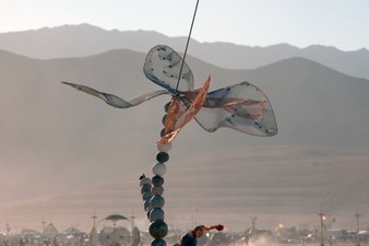 Enlarge photo 72