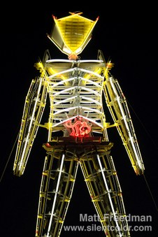 Burning Man 2009