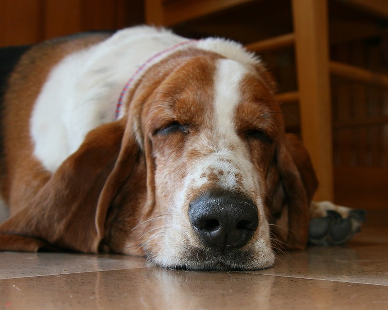 IMAGE: http://photos.imageevent.com/pokemom/familyholidays/thewfamilyreunion/large/Alaska%20Trip%203038.jpg