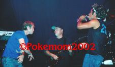 Enlarge photo 162