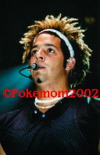 Enlarge photo 235