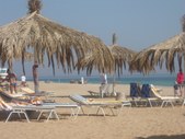 Enlarge photo 82