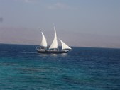 Enlarge photo 85
