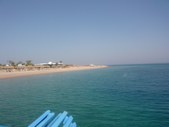 Enlarge photo 87