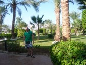Enlarge photo 92