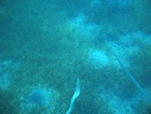 Enlarge photo 54