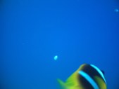 Enlarge photo 57