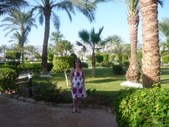 Enlarge photo 94