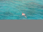 Enlarge photo 95
