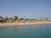 Enlarge photo 81