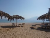 Enlarge photo 80