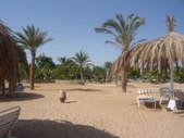 Enlarge photo 89
