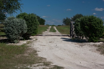 Enlarge photo 354