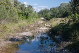 Enlarge photo 363