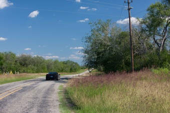 Enlarge photo 367