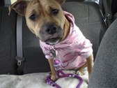 Ruby Roo
