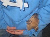 Enlarge photo 1