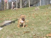 Enlarge photo 13