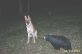 Enlarge photo 6