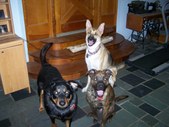 Enlarge photo 11
