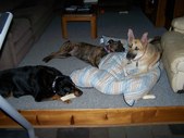 Enlarge photo 17