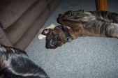 Enlarge photo 5
