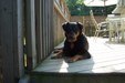 Enlarge photo 15
