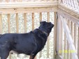 Enlarge photo 26
