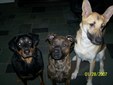 Enlarge photo 28