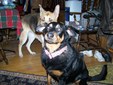 Enlarge photo 22