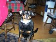 Enlarge photo 23