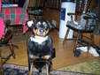 Enlarge photo 24