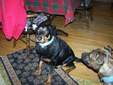 Enlarge photo 25