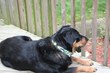 Enlarge photo 29