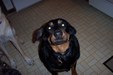 Enlarge photo 5