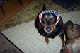 Enlarge photo 7